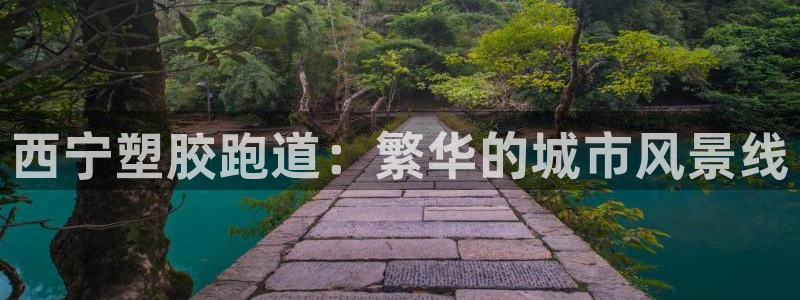 红足一1世官网足球推荐真人：西宁塑胶跑道：繁华的城市风景线