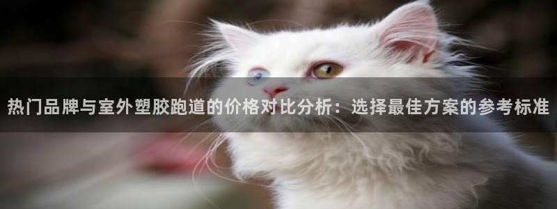百度红足一1视频在线观看：热门品牌与室外塑胶跑道的价格对比分析：选择最佳方案的参考标准