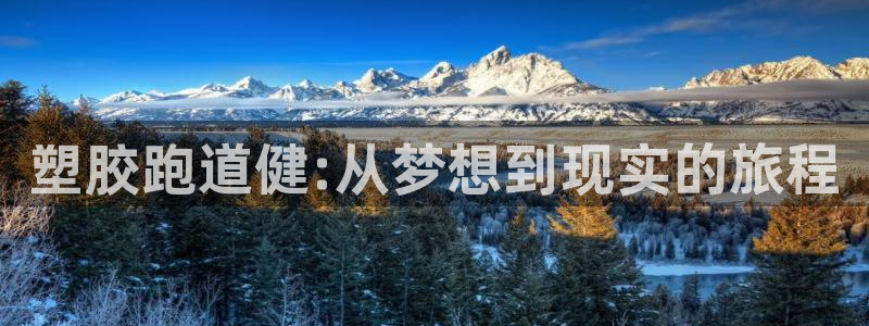 红足一比分网