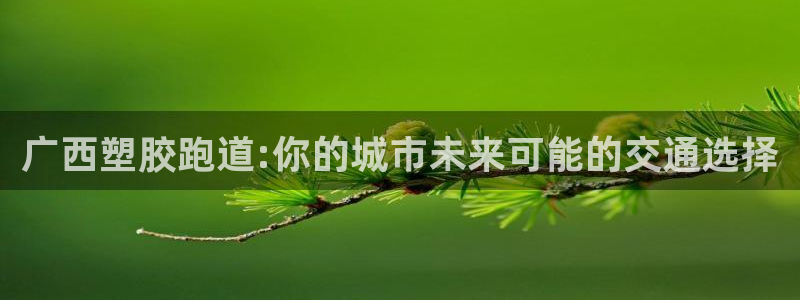 4633333开奖结果4176一点红:广西塑胶跑道:你的城市未来可能的交通选择